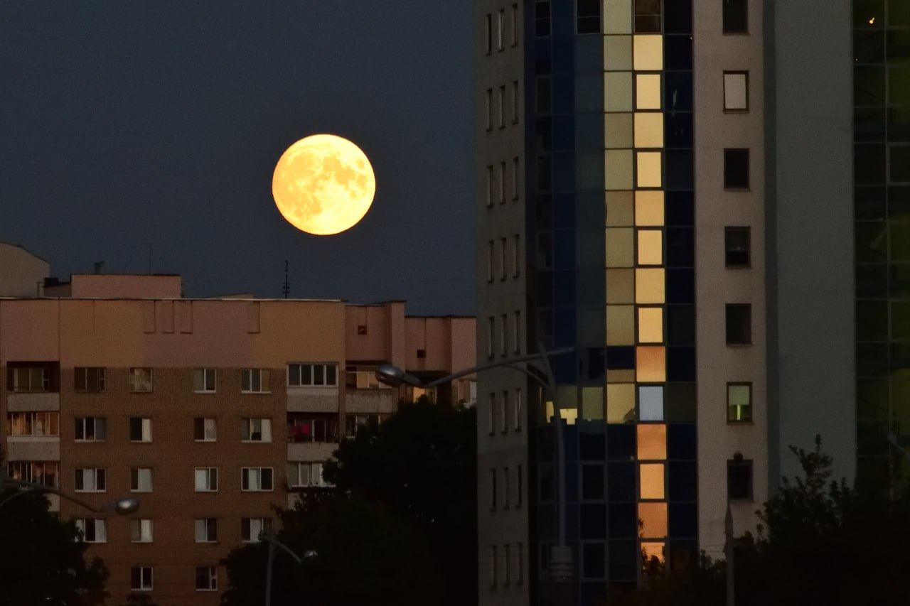 Магическое сплетение света и тени